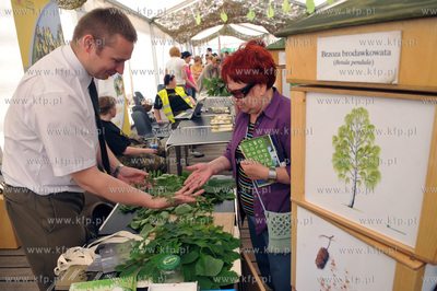 Sobota na molo w Gdansku Brzeznie. W ustawionym na...