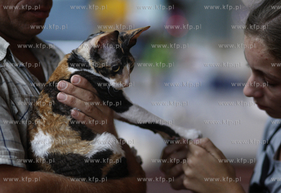 Sopot. Miedzynarodowa wystawa kotow.
07.08.2010
fot....