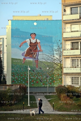 Gdansk Zaspa. Murale.
20.11.2012
fot. Krzysztof Mystkowski...