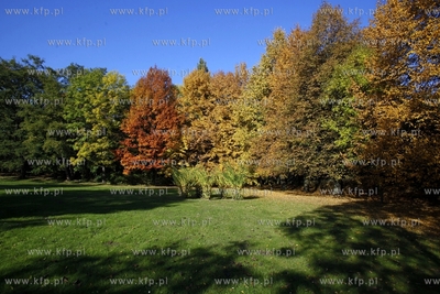 Sopot.
14.10.2013
fot. Krzysztof Mystkowski / KFP