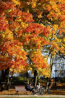 Sopot. Park Polnocny.
14.10.2013
fot. Krzysztof Mystkowski...