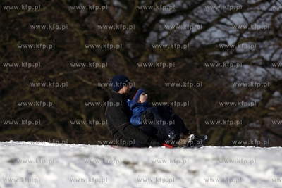 Sanki w parku Reagana w Gdansku. 01.02.2015 fot. Krzysztof...