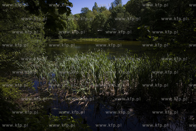 Sopot. Staw Nowowiejskiego, czyli tzw. Morskie Oko.
22.05.2017
fot....