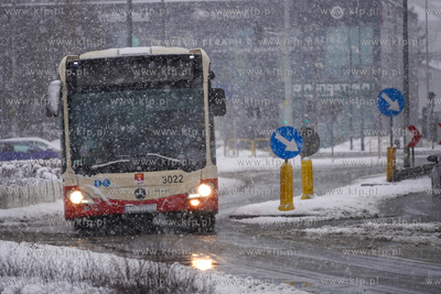 Zima z Gdańsku. Pętla Siedlce. Komunikacja miejska...