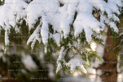 Zima w Gdańsku. 12.01.2026 fot. Paweł Marcinko /...