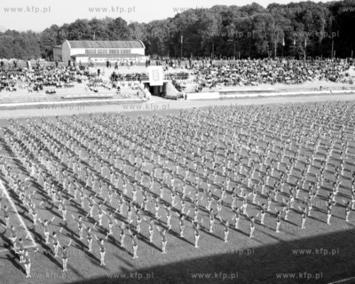 Pokaz gimnastyczny na stadionie Lechii Gdansk. 0003477...