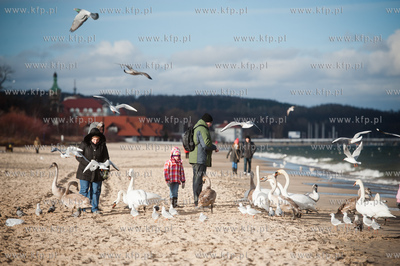 Plaza na granicy Gdanska i Sopotu w zimowe sloneczne...