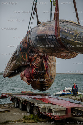 Port Wojenny na Helu. Akcja podnoszenia i transportu,...