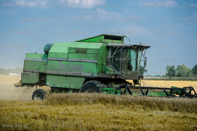 Powiat Koscierski. Kombajn podczas zniw. 
04.08.2015
fot....