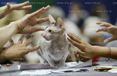 Jubileuszowy X Pomorski Konkurs Fotografii Prasowej...