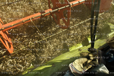 Chwaszczyno. Pierwszy tydzien zniw.  07.08.2009  fot....