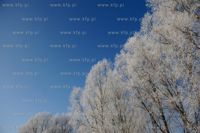 Gdansk Zakoniczyn. Zimowy krajobraz pelen sniegu.
14.01.2010
fot....