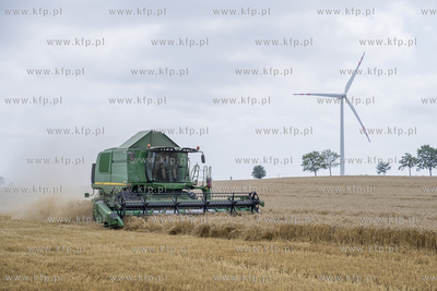 Żniwa we wsi Lignowy w powiecie Tczewskim na Kociewiu.
30.07.2019...