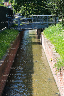 Gdansk Wrzeszcz, Park nad Strzyza.
03.07.2009
fot....