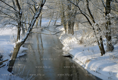 Zima nad Radunia w Niestepowie na Kaszubach
14.01.2010
fot....