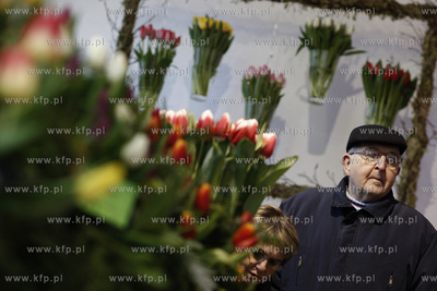 Gdansk.Wystawa Ogrod Kulturalny - Holandia, na ktorej...