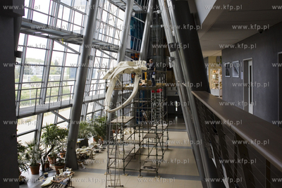 Wydział Biologii Uniwersytetu Gdańskiego. Montaż...