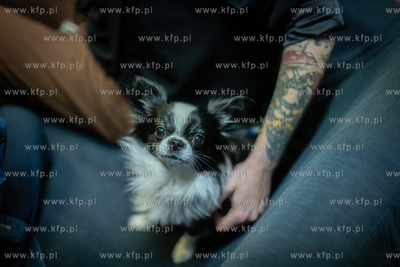 Sopocki Weekend Sztuki. Wernisaż wystawy zbiorowej...