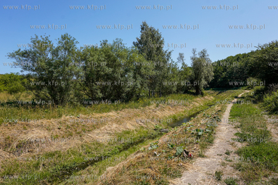 Teren przez które poprowadzona ma być trasa Nowa...