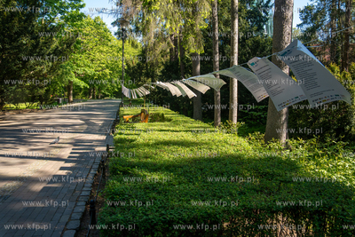 Oliwskie Dni Poezji. Rozwieszanie poetyckiego prania...