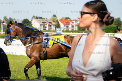 Sopot. Hipodrom. Wyścigi konne Sopot oraz Konkurs...