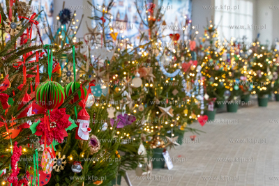 Sopot. Zapalenie światełek na ustrojonych przez dzieci...
