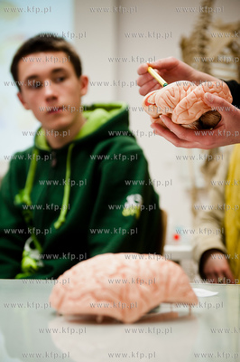 Uniwersytet Gdanski. Wydzial Biologii. Dzien Mozgu...