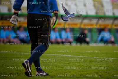 Gdansk. Stadion PGE Arena. Mecz z pewna wygrana - mecz...