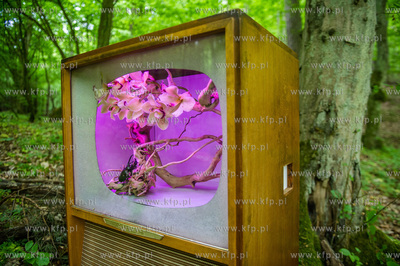 Gdansk. Dolina Radosci. Weekendowa akcja miejska Streetwaves.
31.05.2015
fot....