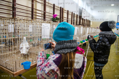 Zespol Szkol Rolniczych w Rusocinie. Wystawa Golebi...