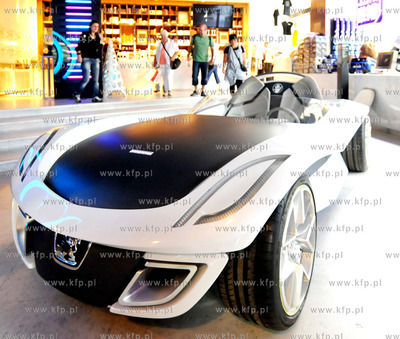 Salony samochodowe na Polach Elizejskich (Champs Elysee...