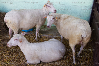 XX Pomorskie Targi Rolno Przemyslowe Pomorska Wojewodzka...