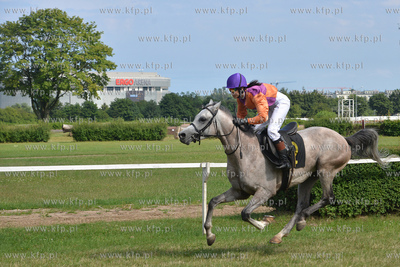 Wyscigi konne na sopockim Hipodromie. 17.07.2016 fot....