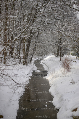 Gdynia Orlowo w zimowej szacie. Nz. Rzeka Kacza
10.02.2021r.
Fot....