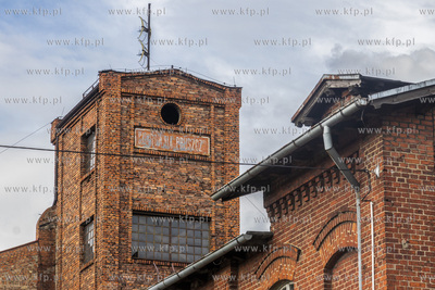 Botaniczny Pruszcz. Spacer badawczy śladem roślin...