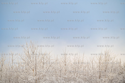 Dobrzewino. Wieś na Kaszubach w powiecie wejherowskim....