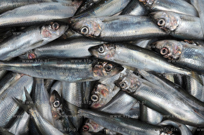 Fischmarkt w Gdansku  czyli odwzorowanie wielowiekowej...