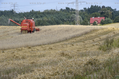 Gdańsk Kokoszki. Żniwa. Okolice ul. Gostyńskiej...