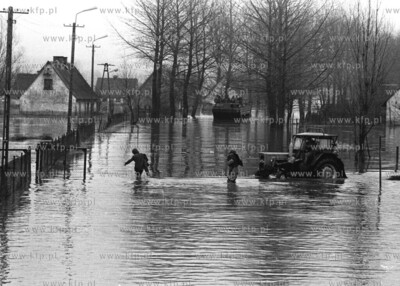 Powodz na Zulawach ( Wyspa Nowakowska ) 01.1983 Fot....