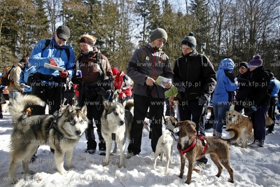 Sopot. Borodziej. Zawody dogtrekkingu - inauguracja...