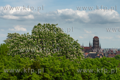 Panorama Gdańska z Góry Gradowej. 24.05.2021 / fot....
