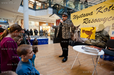 Gdansk. Galeria Baltycka. Obchody swiatowego dnia kota....