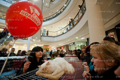 Gdansk. Galeria Baltycka. Obchody swiatowego dnia kota....