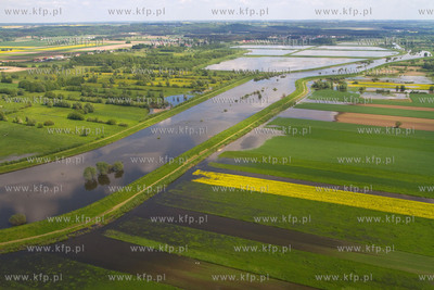 Rzeka Nogat po wiosennej powodzi.
28.05.2010
fot....