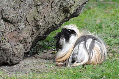 Wiosna w pelni. Na spacer do Parku Rady Europy wyszla...