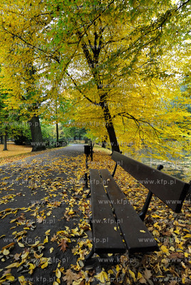 Gdansk Oliwa Park. Fragment parku z basenem parkowym.Poczatkiem...