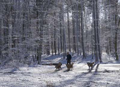 Aktywny przedpołudnie w Trójmiejskim Parku Krajobrazowym....