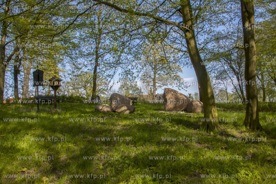Podworski park w Arciszewie w Gminie Pruszcz Gdański....