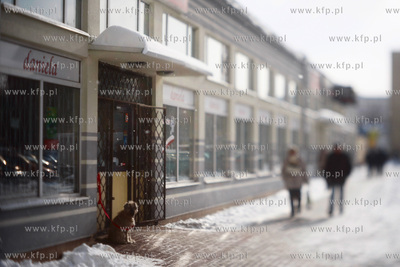 Gdansk. Sklepy przy ul. Piastowskiej.

22.02.2011

fot....