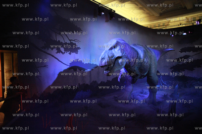Londyn. Muzeum Historii Naturalnej.
07.10.2011
fot....